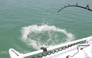 大连近海钓鱼