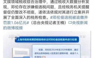 偷逃税与大数据追踪相关问题研究