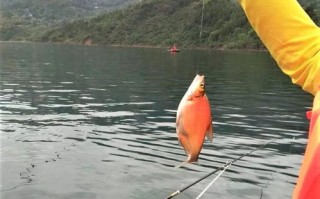 鸡鸣岛在哪儿