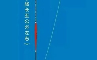 垂钓园鸟瞰图