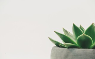 英子家政公司，打造高品质家庭服务的典范
