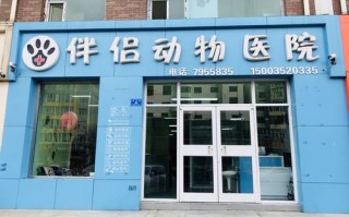 宠物伴侣宠物医院：关爱您的宠物伴侣
