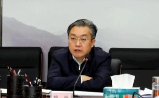 魏平大数据局局长的角色