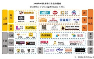 宠物品牌风格