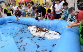 附近龙虾垂钓