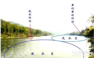 1.了解芭蕉湖的地形和环境