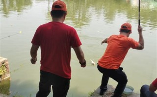行营鲤鱼竿怎么样