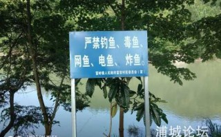 杭州禁止钓鱼吗