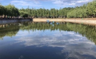 探寻临沂最贵的垂钓园