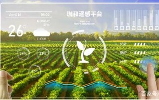 如何在粮油店中开通大数据应用