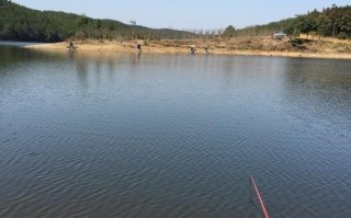宣城钓鱼人最多的地方