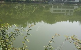 最新休闲垂钓政策