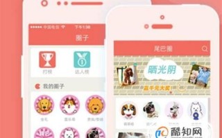 手机怎么养qq宠物