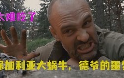 戴尔M15X，高性能移动工作站的全面评测