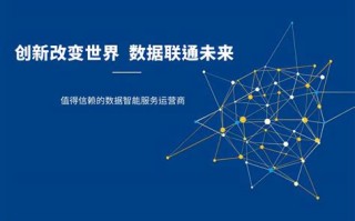 聊城大数据局长