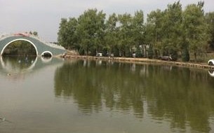 青尼罗河径流量