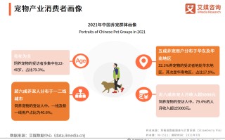 宠物行业有哪些生意可以做