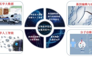 医学数据挖掘与大数据处理
