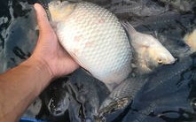 新会大泽红色教育基地