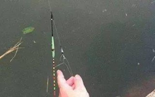 钓鲤鱼用什么浮漂最好