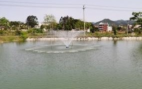 选择地点