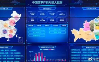 全国收入调查