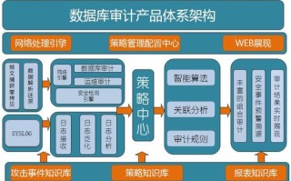 大数据审计的典型案例