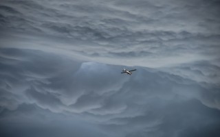 马航MH370搜索重启，家属的期盼与坚持