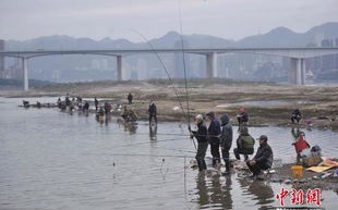 芜湖长江钓鱼违法吗