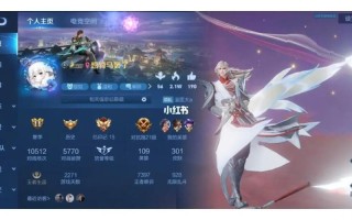 王者荣耀皮肤大数据查询