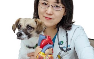 1.查找口碑和评价