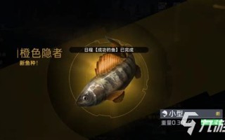 垂钓星球20级以后去哪里升级好