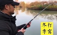 张力是啥