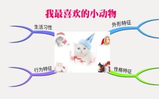 我的宠物思维导图英语