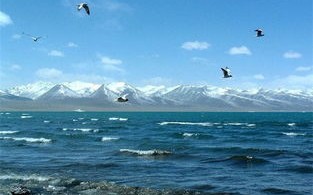 去青海旅游天晚游玩攻略，避开旅游陷阱，轻松省钱