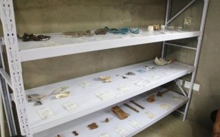 长春绿园网友粉丝嘉年华各大媒体共探乡村文旅项目