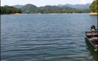 太平湖垂钓区域