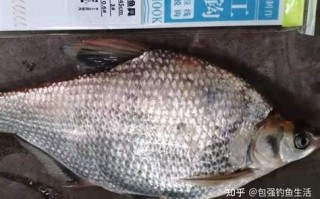 夏季如何垂钓鲤鱼草鱼