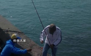 海上垂钓专家：技巧与经验分享