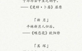 以诗词为灵感的宠物取名