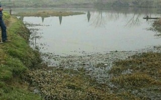1.石臼湖