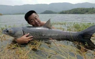 周至钓场