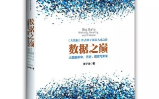 有关大数据的小说