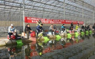 黑沙湖垂钓指南2021