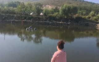 无锡钓鱼的鱼塘