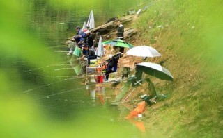利辛县钓鱼天气