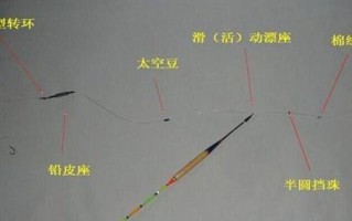 垂钓鲫鱼技巧