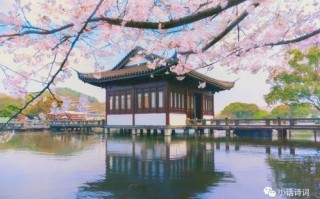 描写垂钓的句子唯美
