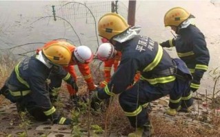 草莓采摘重庆