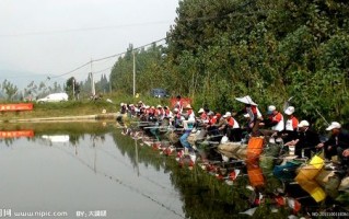 芜湖野生鱼塘垂钓中心